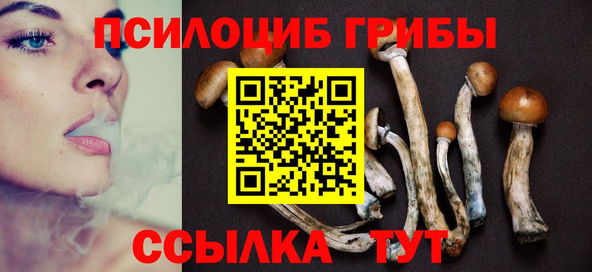 Галлюциногенные грибы Cubensis Тула