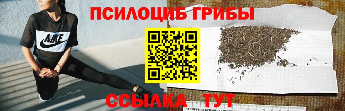 Галлюциногенные грибы мицелий  Вход с VPN  Тула 