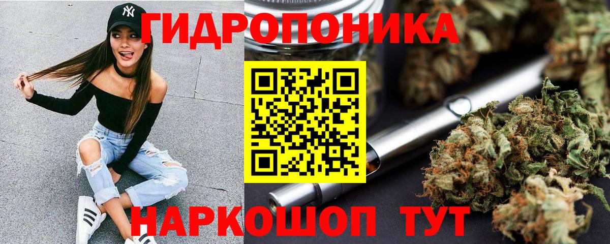 Канабис план  Конопля планчик  Тула  Канабис White Widow  Конопля ГИДРОПОН  Вход с VPN 
